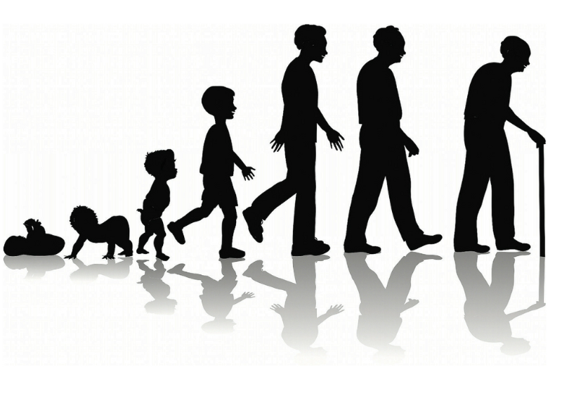 Com o método de envelhecimento inteligente, os pesquisadores foram capazes de atrasar a vida útil das células, o que permite avanços significativos em estudos sobre longevidade humana. Foto: Reprodução/ Adonis Nóbrega.