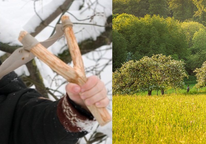 Com as pedras atiradas pelo estilingue o garoto conseguiu salvar a irmãzinha. O agressor escapou mas já foi preso - Fotos: ilustração / Stock Photo / Pixabay