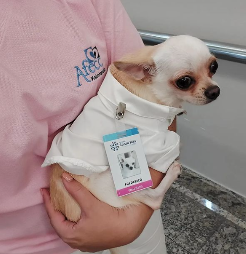 O Frederico é o novo membro da equipe e já estreou com tudo! Ele ganhou até um crachá novo. Que fofura! Foto: Reprodução/@frederico_alfredo/Instagram.