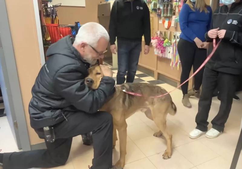 O cãozinho passou meses no abrigo até ser adotado. Na saída, a gratidão dele com os cuidadores foi de emocionar! Foto: Reprodução/Regina Humane Society