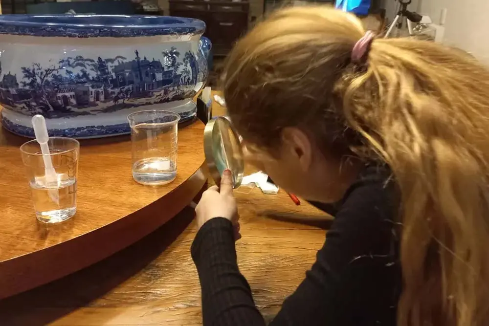 Ela mal publicou o primeiro artigo e já tem o segundo em mente: quer estudar matemática e música! Foto: Reprodução/Arquivo pessoal.