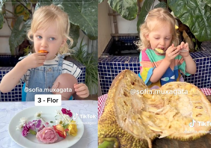 Sofia Muxagata, é uma menina de 2 anos que literalmente come de tudo, incluindo flores e jaca - Fotos: reprodução / TikTok