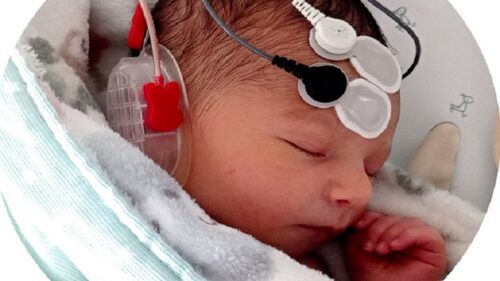 A pesquisa acompanhou 60 bebês recém-nascidos. - Foto: Universidad de Barcelona