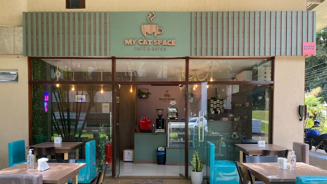 O My Cat Space em Brasília, tem um cardápio todo temático com nome de pratos em homenagem aos bichinhos. Foto: Reprodução/My Cat Space.
