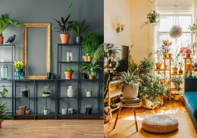 Ambientes com plantas, em casa e no trabalho, podem ajudar na prevenção de várias doenças, além de ficar super estilo, né? Foto: Reprodução/Jornal de Brasília e Lydia Mailloux.