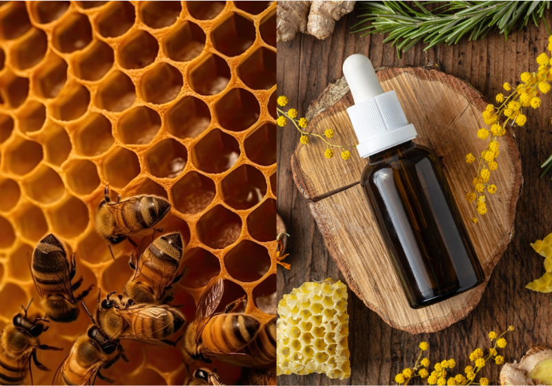 Com a descoberta que própolis pode beneficiar pacientes com HIV assintomáticos, pesquisadores agora querem ir além: usar a resina em casos mais graves! Foto: Reprodução/chandlervid85/Freepik.
