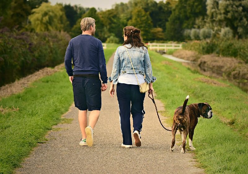 Não se compare com ninguém, se aproxime da natureza e seja honesto. Esses são 3 hábitos do povo mais feliz do mundo, na Finlândia. - Foto: Mabel Amber / Pixabay