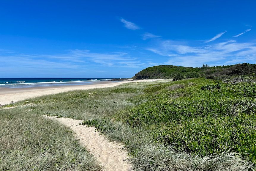 A praia na Austrália onde as surfistas adolescentes  salvaram as meninas - Foto: ABC North Coast: Hannah Ross