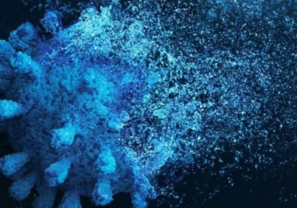 Parte das sequências genéticas trazidas pelos vírus foi, ao longo do tempo, incorporadora e passou a desempenhar funções úteis dentro de nossas células. - Foto: Pixabay