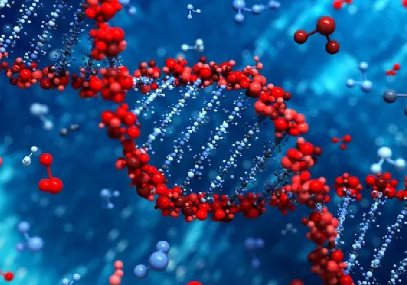 Restos de vírus antigos transmitidos ao longo de milhares ou até milhões de anos no DNA humano podem ajudar a combater o câncer, descobriu um novo estudo. ! - Foto: Leigh Prather/Alamy