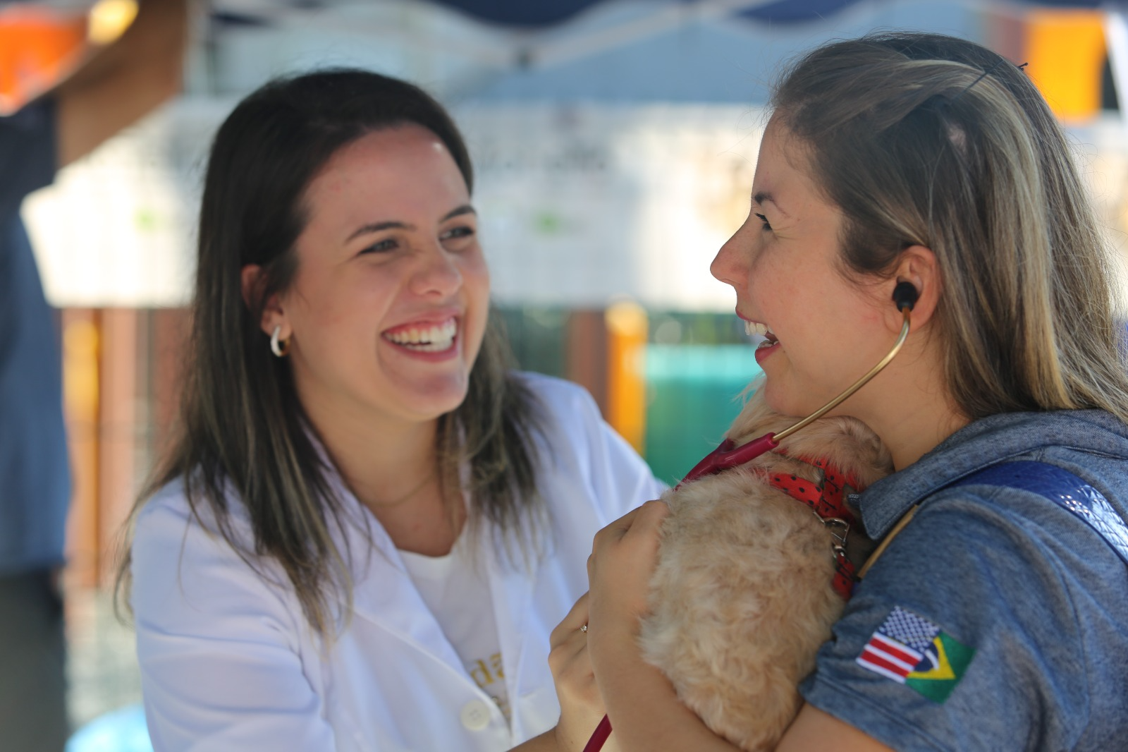 O Happy Pet Day também ofereceu avaliações veterinárias gratuitas para pets. Foto: Reprodução/Paulo Ribeiro (Colégio Adventista Joinville)