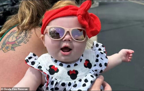 Zoey hoje está feliz e tem um lar seguro. - Foto: arquivo pessoal