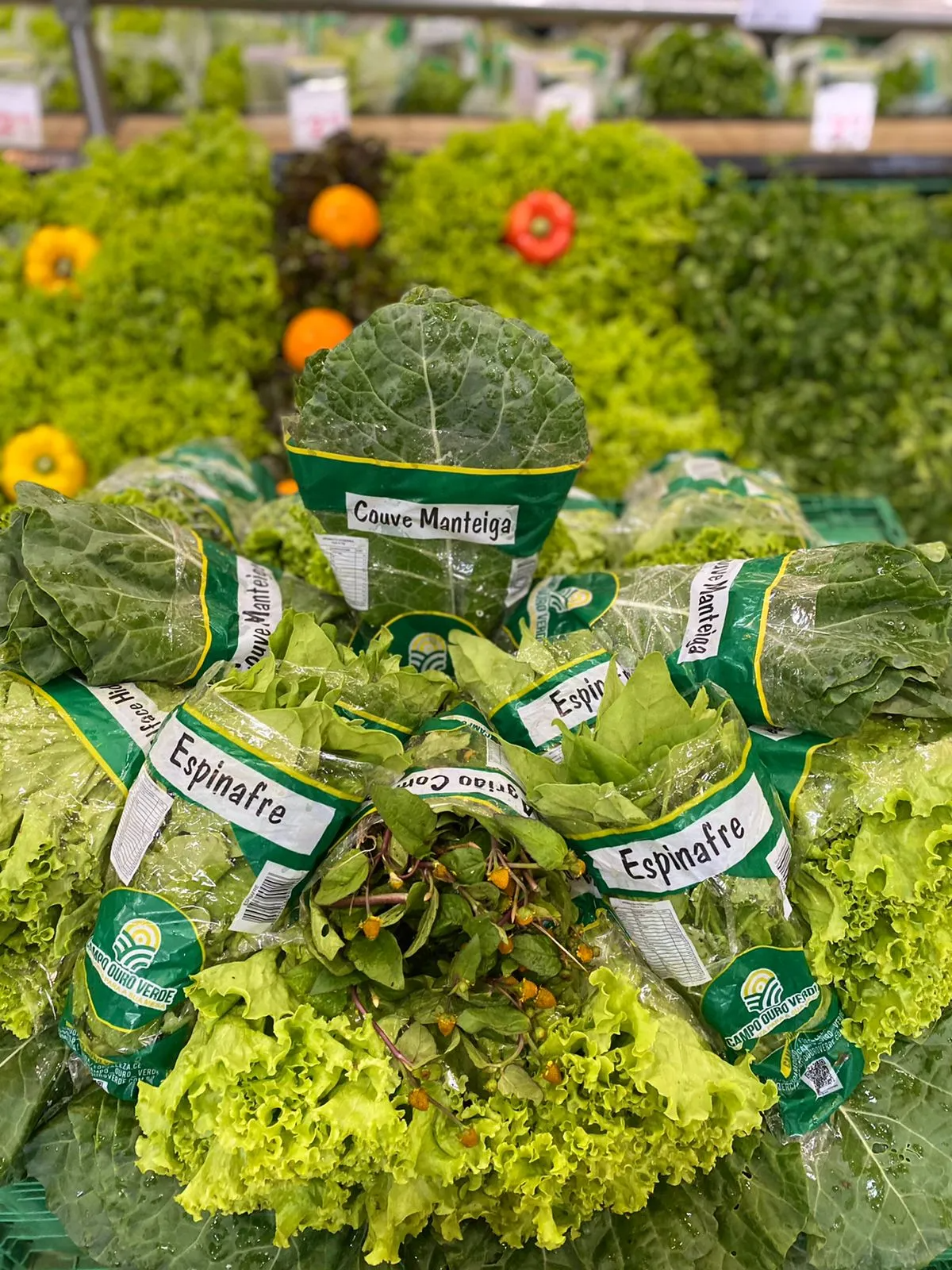 As verduras verdes são ricas em betacaroteno, cálcio e fósforo, além de regular o funcionamento do intestino e ajudar no emagrecimento. Foto: Reprodução/Campo Verde.
