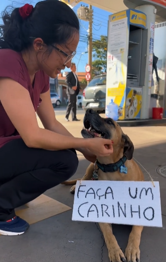 Não teve uma pessoa que não parou pra fazer carinho nos dois! Foto: Reprodução/@matueofrentista/Instagram.