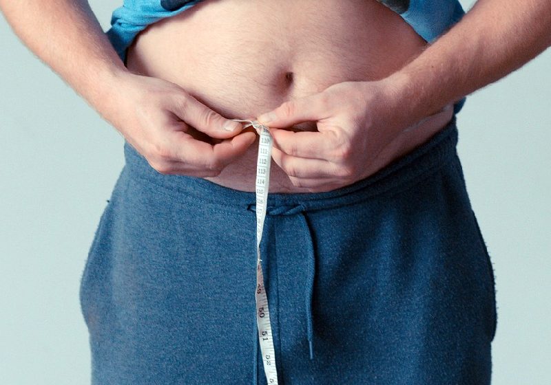 O estudo sobre o hormônio descoberto, que reduz a fome, foi publicado na revista Nature - Foto: jarmoluk / Pixabay