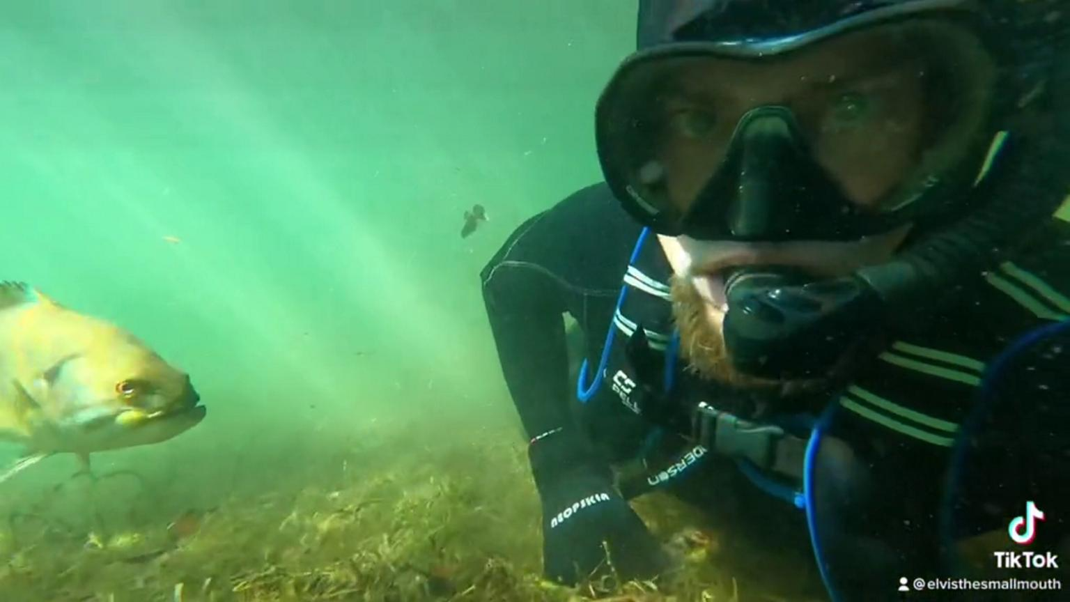 Elvis é tão inteligente que até posar pra foto ele posa, gente kkkkk. Foto: Reprodução/Rex Colubra.