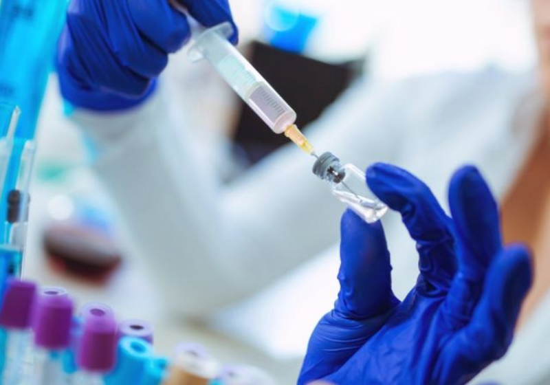 Nova vacina contra dengue aprovada pela Anvisa garante até 80% de eficácia contra a doença. Resultados incríveis! Foto: Pixabay