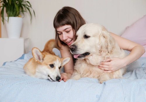 Ter pets em casa traz benefícios que vão além da companhia desses bichinhos. - Foto: Canva