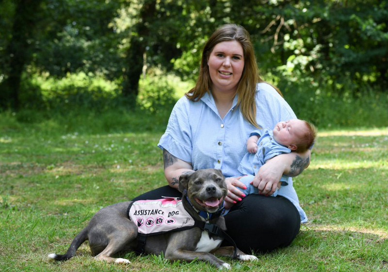 Com os três já em casa, Belle não desgruda do seu "irmãozinho" Olly. Foto: Reprodução/Jane Russel (Vets Now).