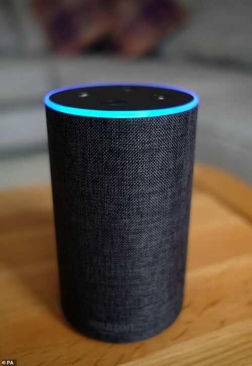 Alexa, a assistente de voz da Amazon, faz mais do que tocar música - Foto: PA