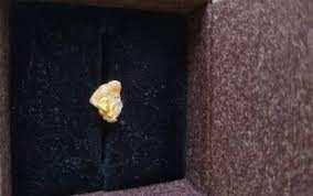 A pepita de ouro encontrada pelo estudante - Foto: reprodução 