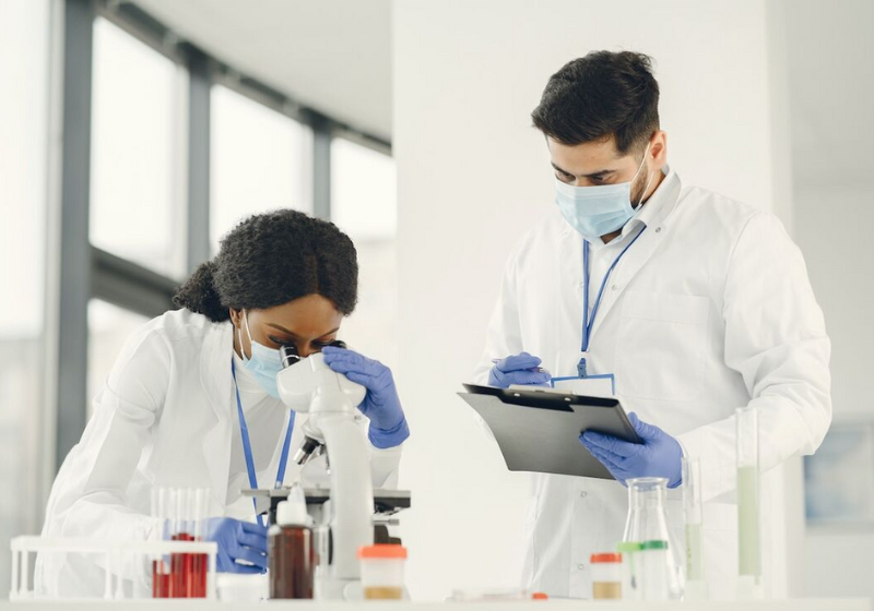 Entre os melhores pesquisadores do mundo, estão mais de 230 brasileiros da USP. Foto: Reprodução/Gustavo Fring (Pexels).