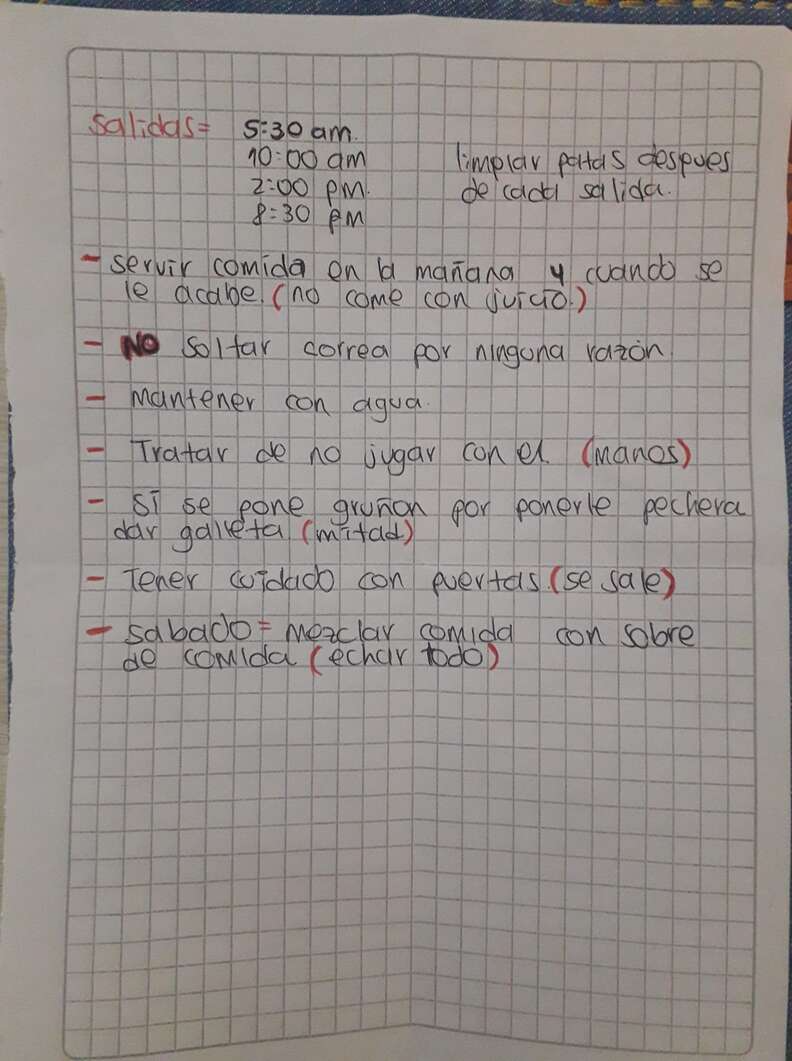 No bilhete, todas as instruções de como lidar com Toby. Foto: Reprodução/Arquivo pessoal.