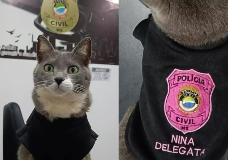 Com o estresse da profissão, policiais de MS adoratam mascotes para aliviar o clima nas delegacias. Foto: Reprodução/Polícial Civil MS.