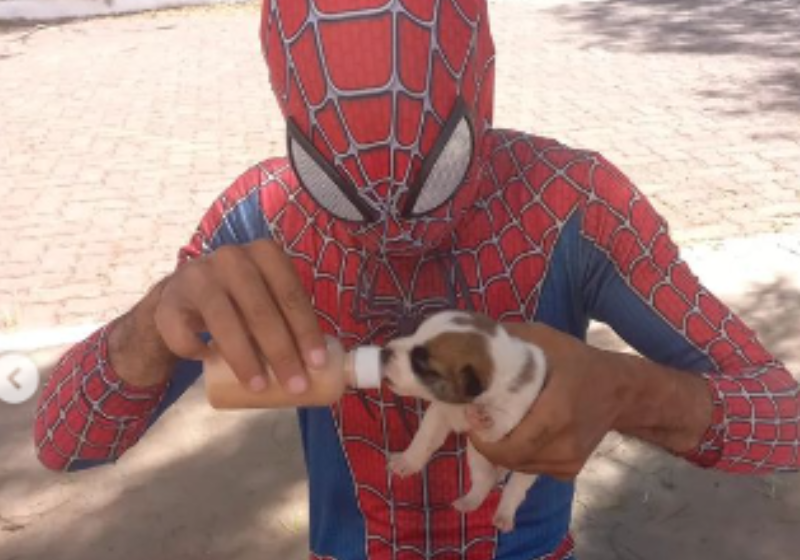 Em um dos resgates, Jefferson alimentou um filhotinho que estava com muita fome. Foto: Reprodução/Instagram/homemaranhaembrasilia.