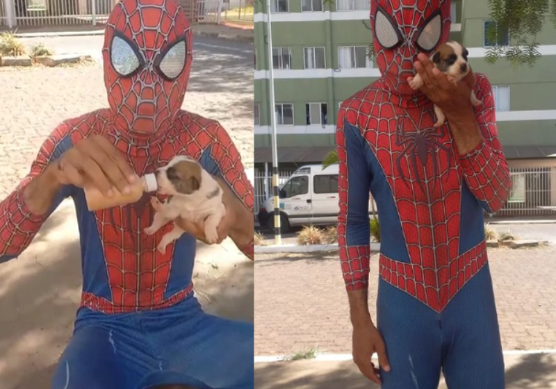O Homem-Aranha de Brasília realiza um trabalho ajudando pets carentes de rua. - Foto: Reprodução/Instagram/Homemaranhaembrasília.