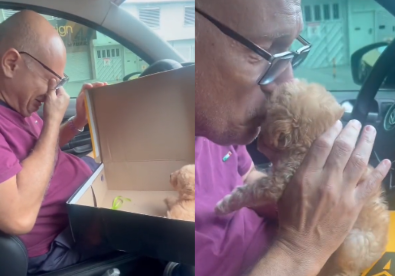 O pai ganhou o cãozinho de presente e foi emoção pura! - Foto: reprodução Twitter