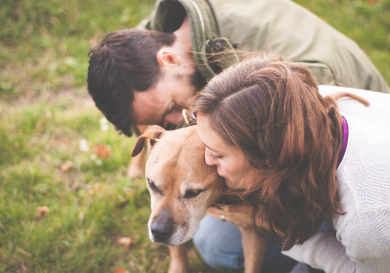 Os cartórios agora permitem que os pets tenham o sobrenome do tutor reconhecido em certidão! - Foto: Pixabay