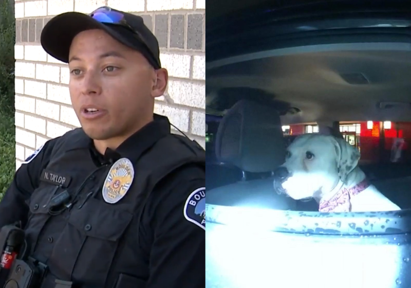 Não é todo dia que o policial Nate acha uma cachorra abandonada em um carro roubado. E ele resolveu adotá-la! - Foto: Reprodução/KDVR.