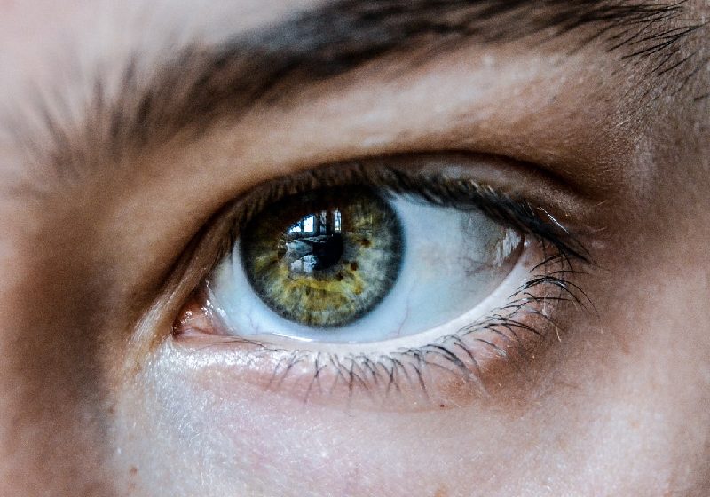 Cientistas da Europa conseguiram regenerar células da retina com novo tratamento baseado na nanotecnologia para combater a cegueira humana. - Foto: zehra soy / Pixabay