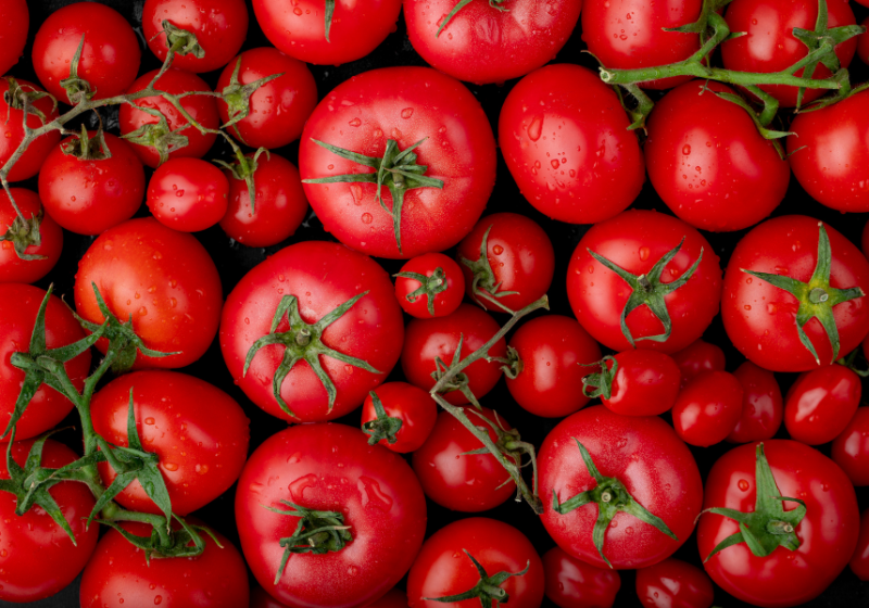 Tomate faz bem para o coração e prevenção de doenças confirma pesquisa Só Notícia Boa