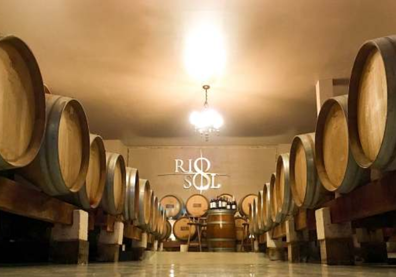 A vinícola que produz vinhos na região do São Francisco já ganhou vários prêmios nacionais e internacionais. Foto: Reprodução/Rio Sol.