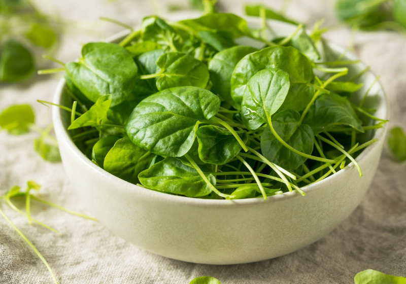 O agrião é o vegetal mais saudável do mundo. Um pouquinho dele por dia pode ajudar a saúde! Foto: Reprodução/iStock.