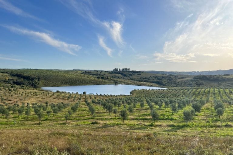 A Sabiá produz em duas fazendas, uma em Santo Antônio do Pinhal e outra em Encruzilhada do Sul (foto) - Foto: Divulgação