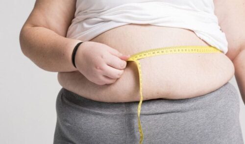 O dispositivo [e implantado no estômago e controla a função gástrica. - Foto: Pixabay