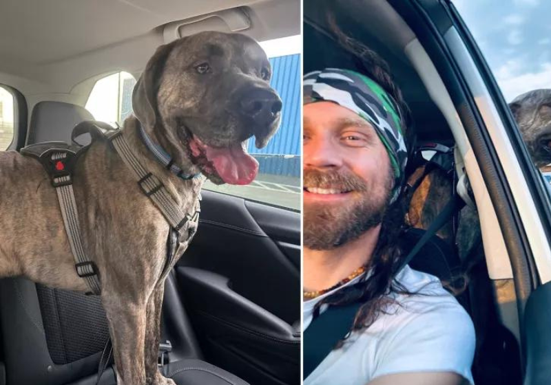 Agora, o cachorrinho já está super adaptado em casa e adora brincar as novas irmãs. Foto: Reprodução/Newsweek.