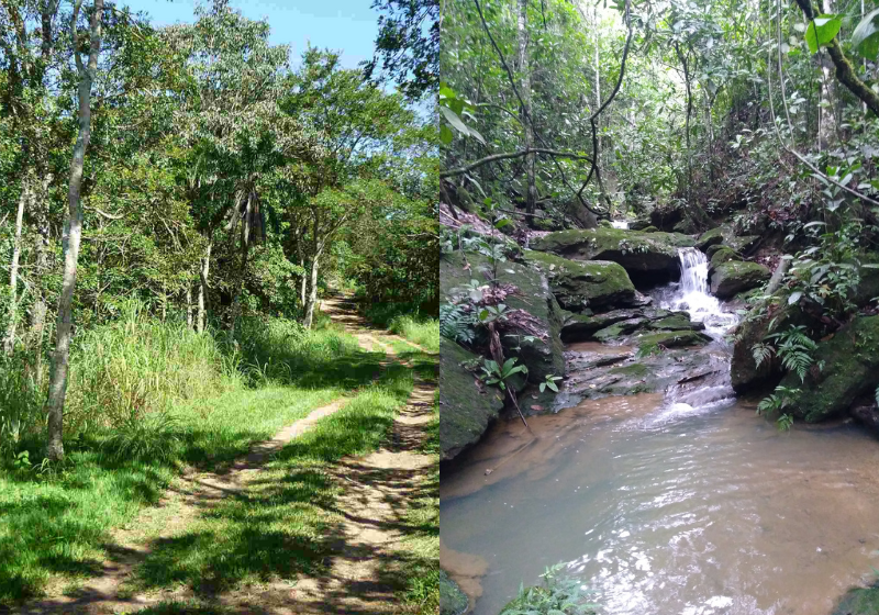 O Sítio das neves agora é reconhecido como Patrimônio de Preservação Permanente graças ao cuidado de 40 anos do seu Eugênio, dono das terras, com a natureza. - Foto: Reprodução/Eugênio Giovenardi.