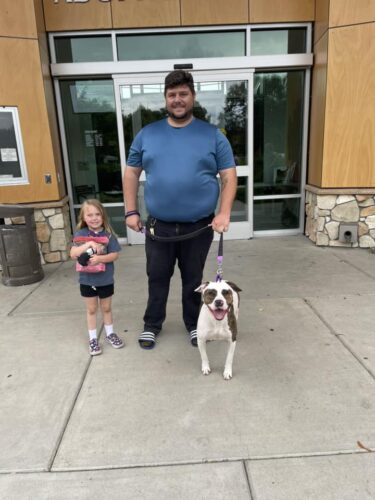 Olha como está Steven hoje! - Foto: Bradshaw Animal Shelter