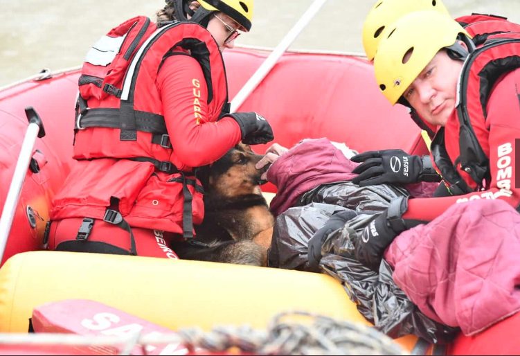 É muito amor envolvido - - Foto: divulgação / Bombeiros Militares