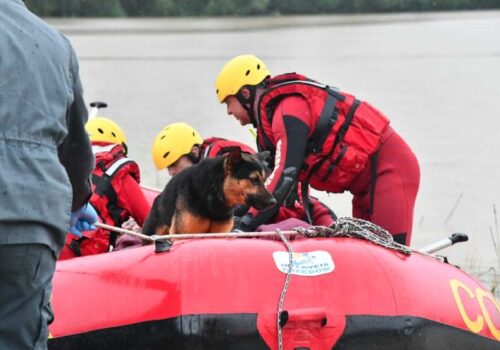 O cão e o tutor sendo resgatados de bote pelos bombeiros - Foto: divulgação / Bombeiros Militares