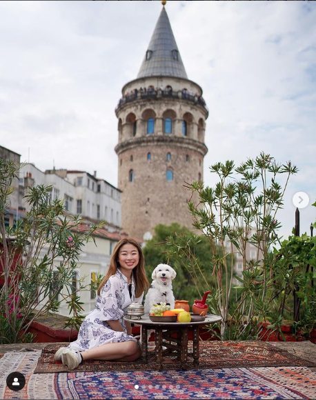 Vai vendo as poses do Tofu com a tutora durante as viagens - Foto: reprodução / Instagram @traveldogtofu