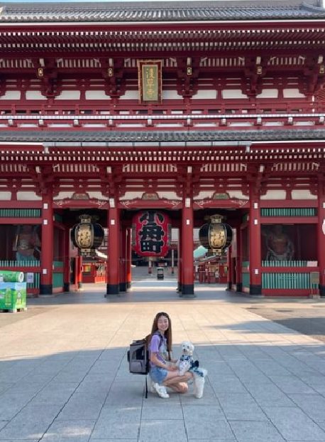 O cachorrinho Tofu em no Japão - Foto: reprodução / Instagram @traveldogtofu
