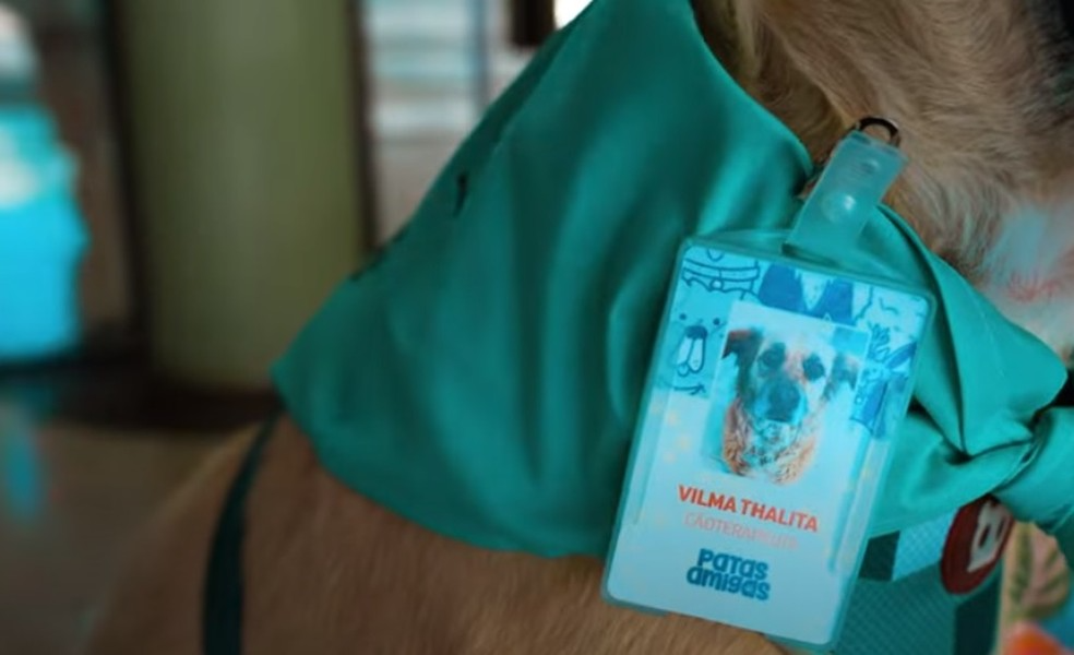 Olha o cracházinho dela, não é a coisa mais linda? Foto: Reprodução/Hospital das Clínicas de Botucatu.