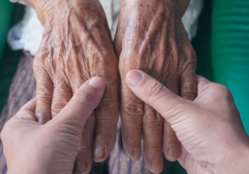 Os senolíticos, remédios para rejuvenescer, são a esperança da ciência pra a doação órgãos saudáveis - Foto: Jcomp / Freepik