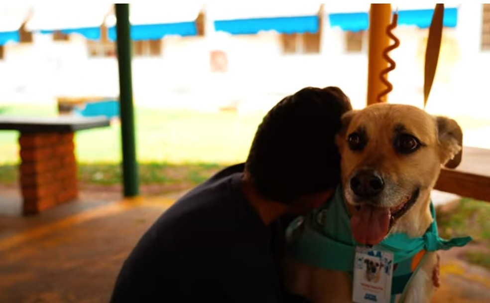 Olha a carinha da Vilma! Ela é ou não é incrível? Foto: Reprodução/Hospital das Clínicas de Botucatu.