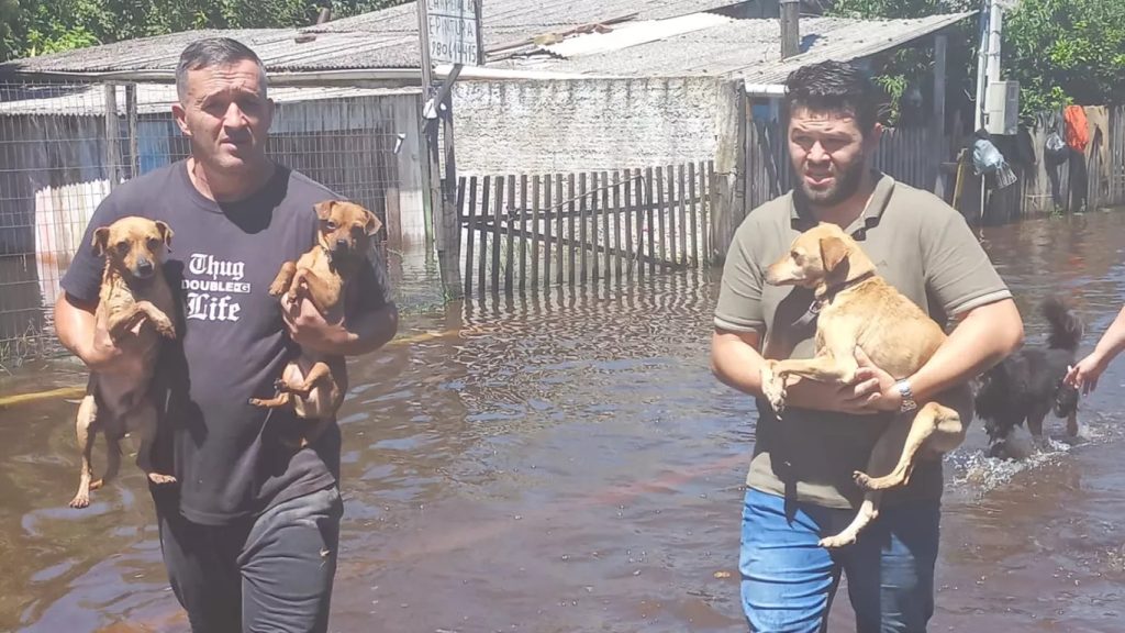 Resgate Nova Santa Rita. Foto: reprodução/ Prefeitura de Nova Santa Rita